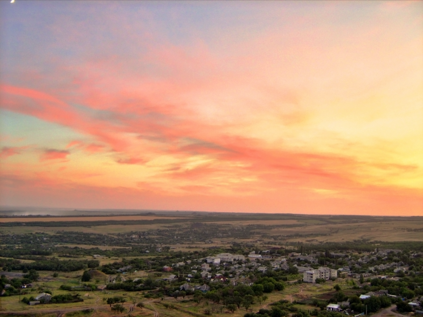 Writing Against Erasure: Four Contemporary Ukrainian Poets of War